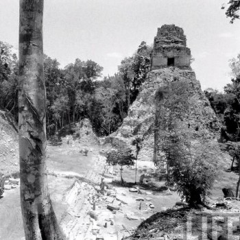 historia-arqueologia-guatemala-descubrimiento-tikal
