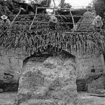 sitio-arqueologico-blanca-peten-guatemala-ruinas-area-central-isla-palacios-mayas
