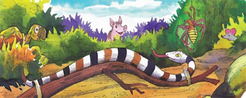 Animales cerca, foto secretos para contar