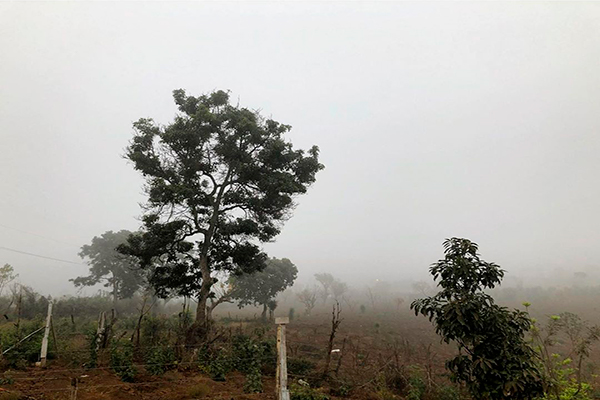 Clima de Pastores, Sacatepéquez, foto @faxmunk