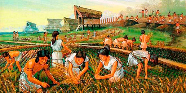 Agricultura en Guatemala - Foto Aprendamos de culturas