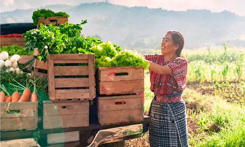 Agricultura en Guatemala - Foto El Ágora diario del agua