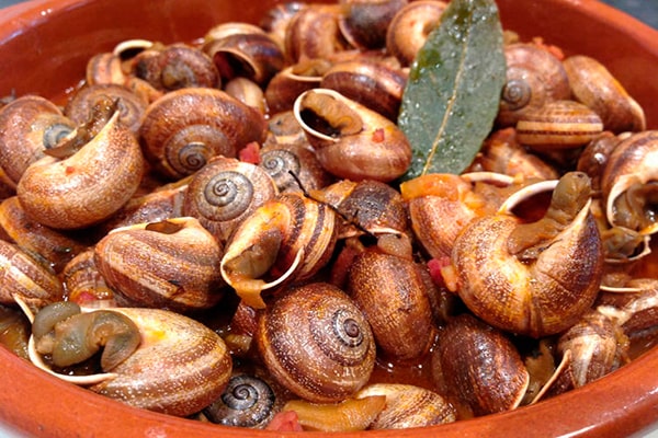 Caracoles al tomillo de Zacapa - Foto Cookpad
