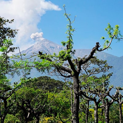 Municipio de San Juan Alotenango, volcán de fuego - instagram - @fernanda.arroyom