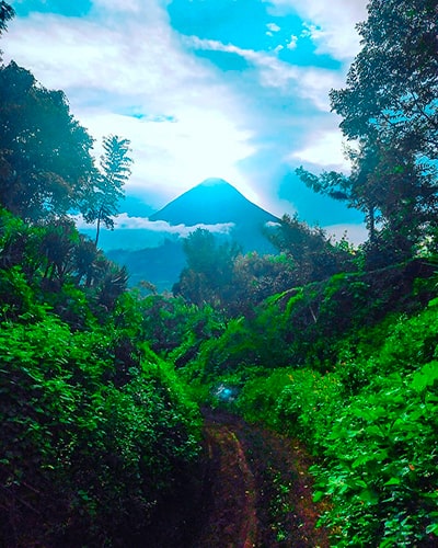 Municipio de San Miguel Dueñas, bosque - instagram - @miguel.barrientos_
