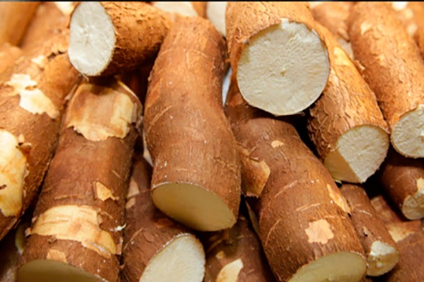 Significado de la palabra yuca en guatemala - Foto Diario1
