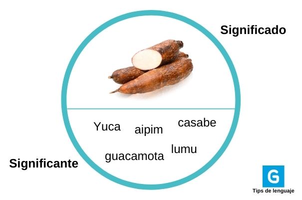 Significado de la palabra yuca en guatemala - Foto Guatemala . com