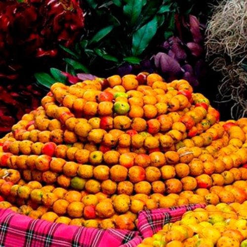 Tradiciones guatemaltecas en Navidad
