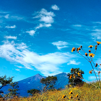 Descripción de la foto - Vista de los volcanes, el cielo, las flores y árboles en las cercanías de San Antonio Aguas Calientes - crédito de la foto - @elyguachin - Instagram