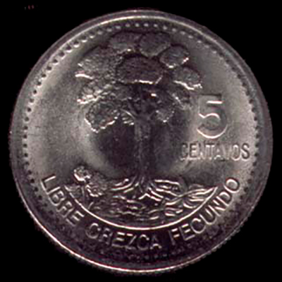 Historia de la Ceiba pentrada de Chiquimula - descripción de la foto - reverso de los 5 centavos con la Ceiba de Chiquimula y la frase - crédito catálogo de monedas guatemaltecas