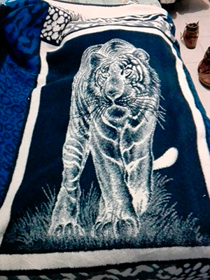 Descripción de foto - Cobertor de tigre caminando, con fondo negro y piel blanca. - Crédito de foto - @GalanConTraje- Twitter