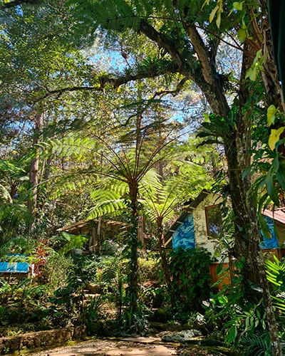 Descripción de foto - Exterior de las instalaciones de Orquigonia, rodeado de bosque y naturaleza. - Crédito de foto - Orquigonia