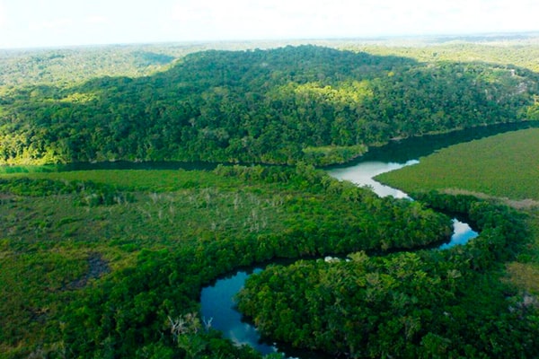Descripción de foto - Vista aérea del Parque Nacional Laguna del Tigre, donde se observa el bosce y el río que cruza por él. - Crédito de foto - Guatesostenible