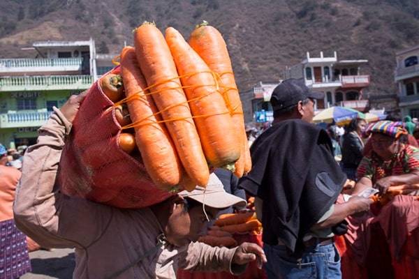 Descripción de foto - hombre colocando en su espalda zanahoras gigantes en el mercado de Almolonga. - Crédito de foto - Frutas y verduras el ShaddaiDescripción de foto - hombre colocando en su espalda zanahoras gigantes en el mercado de Almolonga. - Crédito de foto - Frutas y verduras el Shaddai