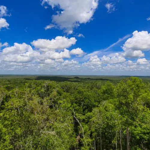 Reserva de la Biósfera Maya en Petén