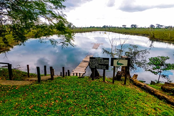 Descripción de foto - Entrada al lago El rosario, rodeado de vegetación y naturaleza. - Crédito de foto - Parque Nacional El Rosario