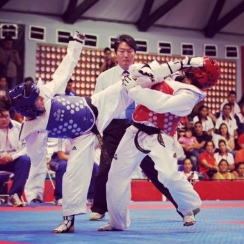 Biografía de Elizabeth Zamora, taekwondoka guatemalteca