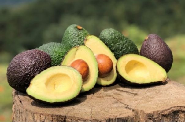 Tipos de aguacate en Guatemala-