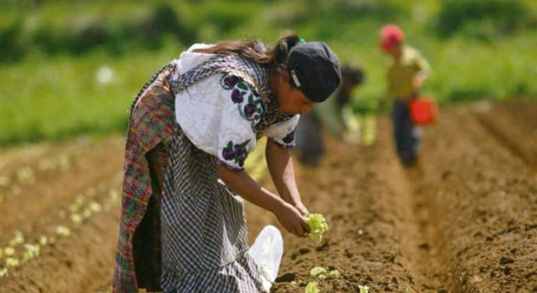 Día Nacional del Ingeniero Agrónomo en Guatemala-