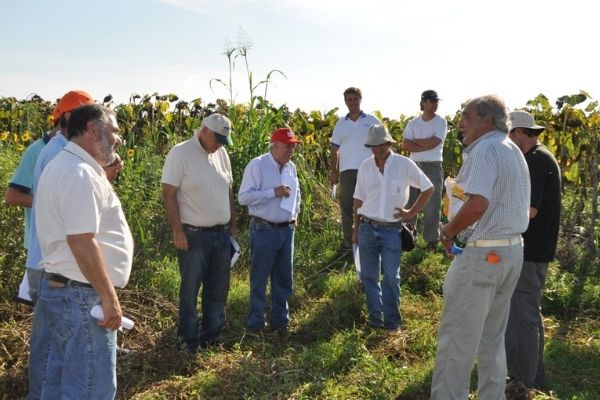 Día Nacional del Ingeniero Agrónomo en Guatemala.