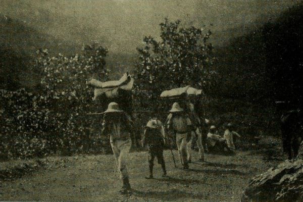 Por qué es tan importante la milpa en Guatemala.