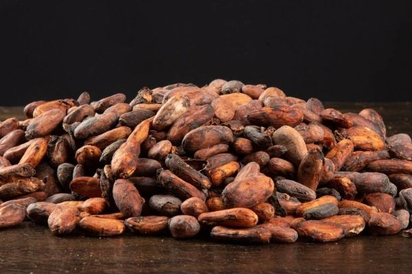 ómo se transforma el cacao en chocolate en Guatemala-