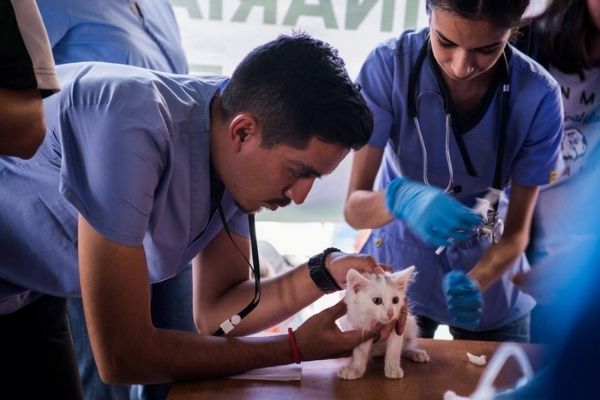 Historia de la Facultad de Medicina Veterinaria y Zootecnia de Guatemala-1
