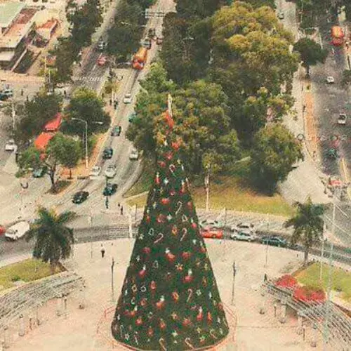 cual fue el primer árbol gallo en Guatemala