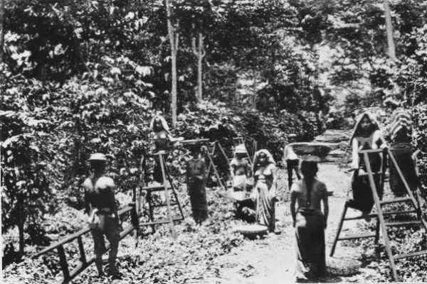 Historia del Reglamento de Jornaleros de Guatemala-03
