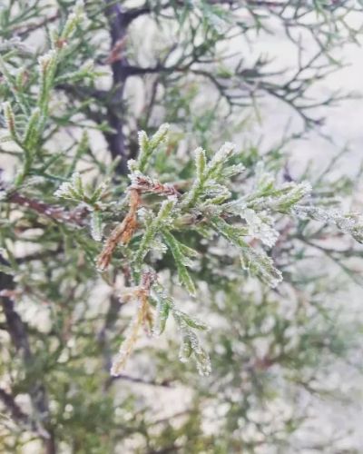 Por qué no cae nieve en Guatemala-01