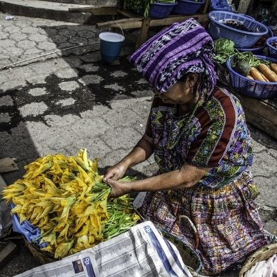 Flor de calabaza en Guatemala-02
