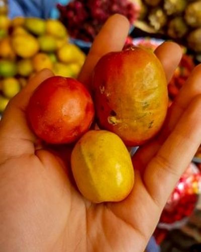 Frutas de la temporada de verano en Guatemala-01