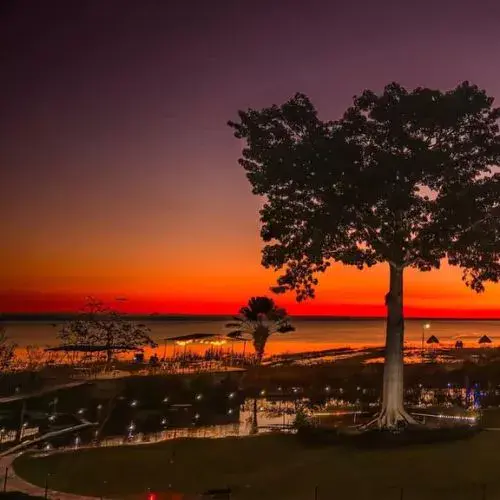 La ceiba en Guatemala