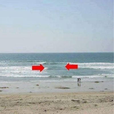 Qué es un alfaque en Guatemala-01