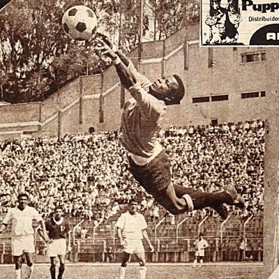 biografia guillermo gamboa (10)