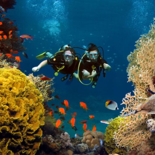 5 consejos que puedes poner en práctica para proteger los arrecifes de coral