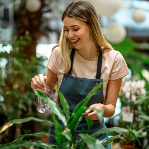 5 fungicidas caseros para cuidar las plantas en Guatemala 