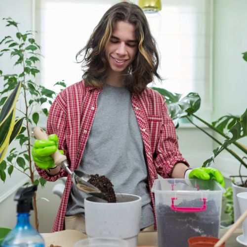 5 fungicidas caseros para cuidar las plantas en Guatemala