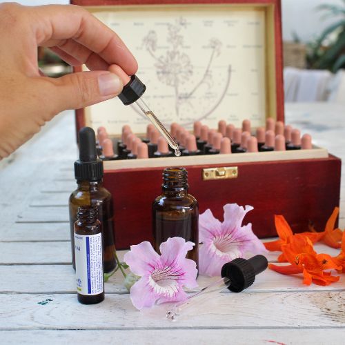 Flores de Bach twenty20photos