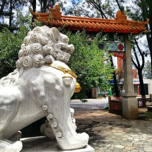 Historia de Plaza Confucio en la zona 15 de la ciudad de Guatemala 