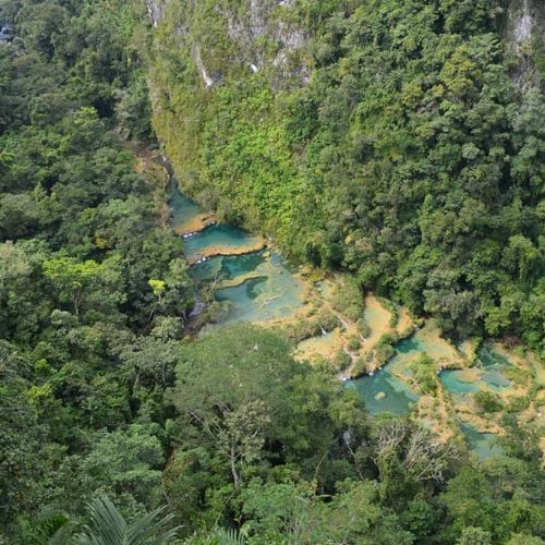 Importancia de los bosques tropicales en Guatemala 