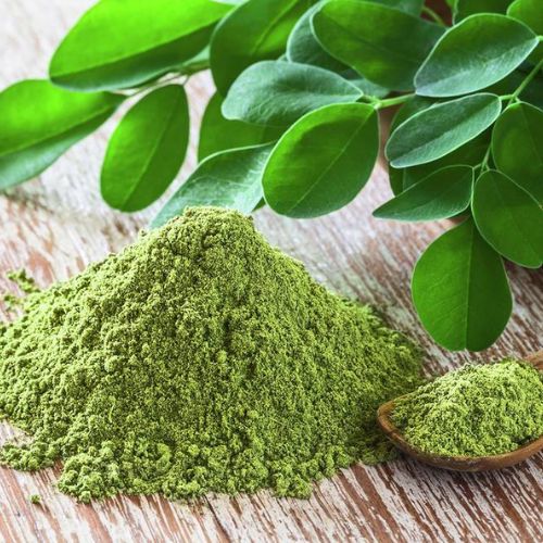 La moringa, una planta medicinal muy popular en Guatemala 