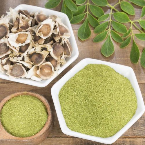 La moringa, una planta medicinal muy popular en Guatemala 