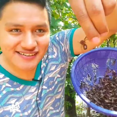 Miguel Babo, creador de contenido originario de Baja Verapaz, Guatemala 