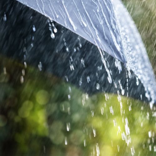 Origen de la frase «San Isidro Labrador, quita el agua y pon el sol» en Guatemala 