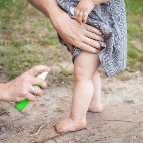 Recomendaciones para ahuyentar mosquitos en Guatemala 