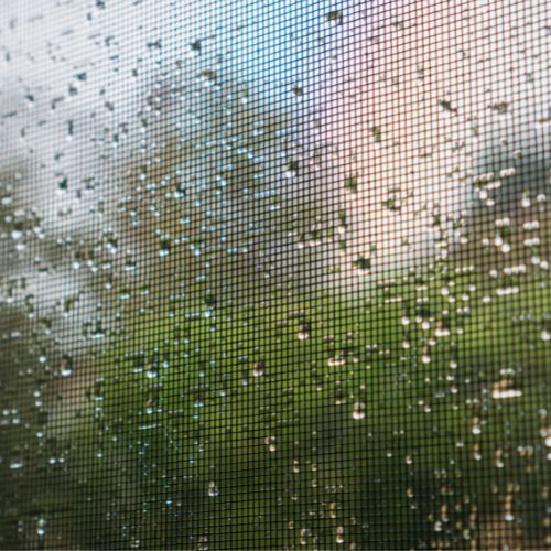 Recomendaciones para ahuyentar mosquitos en Guatemala 