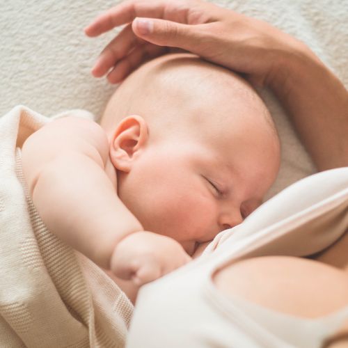 Características del Ixbut, planta que se cultiva en Guatemala 