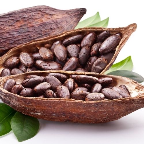 Cinco datos curiosos sobre el cacao que se produce en Guatemala 