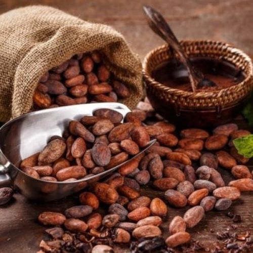 Cinco datos curiosos sobre el cacao que se produce en Guatemala 